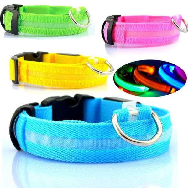 Glow Pet Collar
