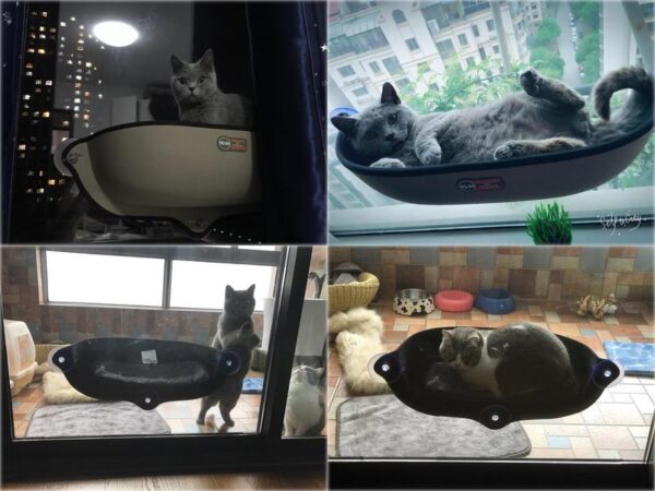 Kitty Daybed